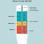 Image result for Normal Peak Flow Meter Chart