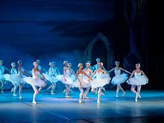 Image result for Disney Princess Doll Ballet Stage