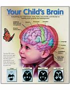 Image result for Toddler Brain