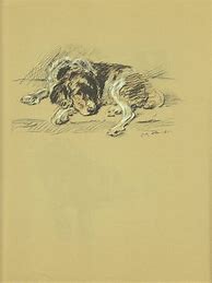 Image result for Antique Dog Prints