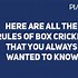Image result for Box Cricket Pitch