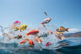 Image result for Cartoon Fish Jumping Out of Water