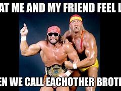 Image result for Hulk Hogan Hell Yeah Brother Meme