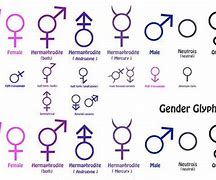 Image result for How Long Is the LGBT Symbol