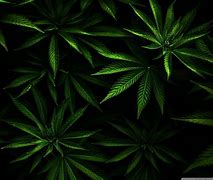 Image result for Weed Laptop Wallpaper