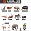 Image result for Animales En Espanol