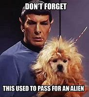 Image result for Bad Day Star Trek Rerun Meme