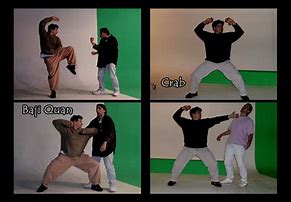 Image result for Deadly Fighting Styles