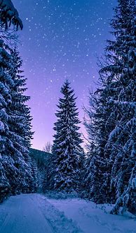 Image result for Winter Forest Phone Wallpaper