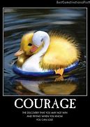 Image result for Funny Quotes About Life Courage