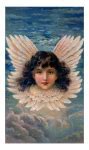 Image result for Angel Anatomy
