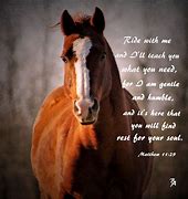 Image result for Quotes About Love Horse