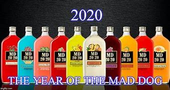 Image result for MD 20 20 Meme the New Year