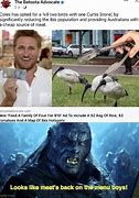 Image result for Ibis Memes