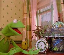 Image result for Crazy Kermit the Frog Pics