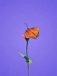 Image result for Purple and Orange Aesthetic