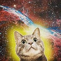 Image result for Galaxy Cat Meme