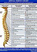 Image result for C5 C6 Symptoms Nerve Chart