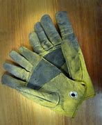 Image result for Indian Cricket Gloves