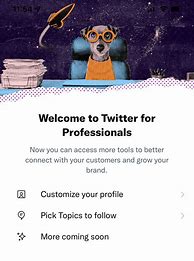 Image result for Twitter Professional Account