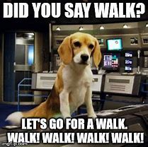 Image result for Yes We Can Walk Meme