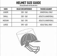 Image result for Cricket Helmet