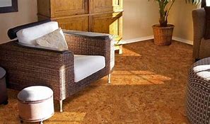 Image result for Cork Flooring Pros and Cons