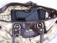Image result for Concealed Carry Purse Holster