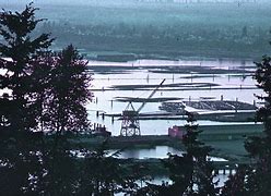 Image result for Mud Bay Bellingham WA