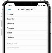 Image result for Dual Sim in iPhone