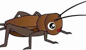 Image result for Summer Cricket Insect Cartoon