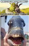 Image result for Shrek and Donkey Meme