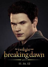 Image result for Breaking Dawn Book