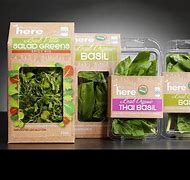 Image result for Organic Food Packaging Design