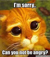 Image result for Sorry You Cant Meme