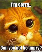 Image result for Wholesome Sorry Memes