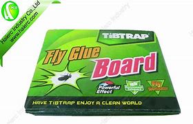 Image result for Glue Board Fly Trap