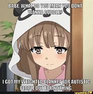 Image result for Funny Weighted Blanket Meme