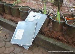 Image result for Lubelife IBC Tank