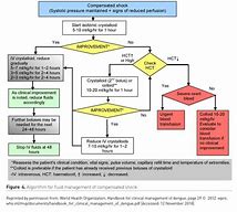 Image result for Volume Replacement Algorithm for Patients with Severe Dengue Fever
