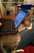 Image result for Funny Computer Related