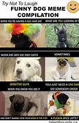 Image result for Funny Dog with Sore Toe Memes