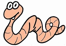 Image result for Eating Worm Clip Art