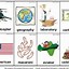 Image result for 4 Syllable Words Articulation Worksheets