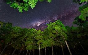 Image result for Milky Way Over Forest Stream