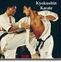Image result for Karate Types Names