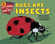 Image result for Find the Insect Jacqueline Adams Book