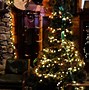 Image result for Bass Pro Shops Christmas Pictures