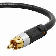 Image result for Digital Coax RCA
