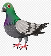 Image result for Pigeon Emoji
